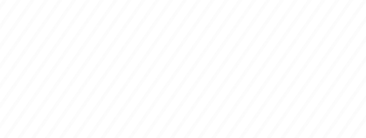 ornament 6