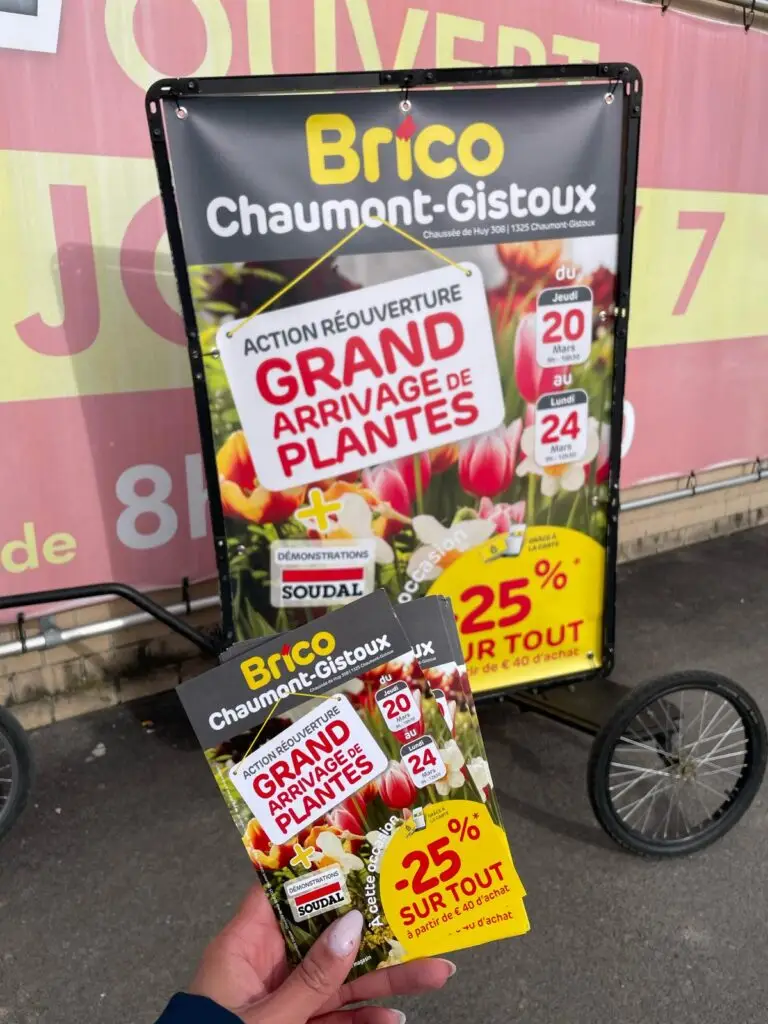 Chaumon_action_brico
